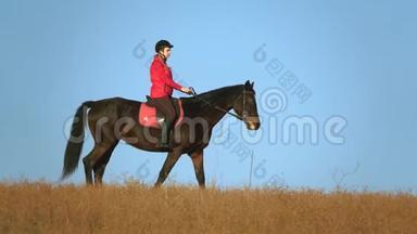 骑着马的女孩抚摸着站在田野里的马。 慢动作。 侧视图